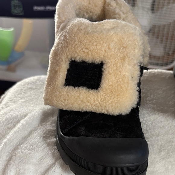 Coach Black Halen Sneakers - Picture 2 of 12